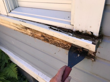 Timber repairs Auckland
